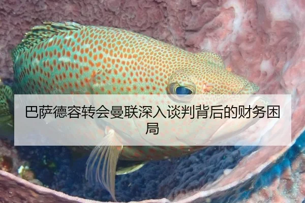 巴萨德容转会曼联深入谈判背后的财务困局