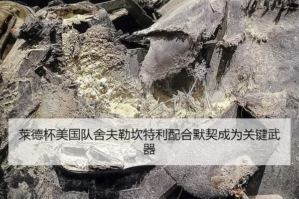 莱德杯美国队舍夫勒坎特利配合默契成为关键武器