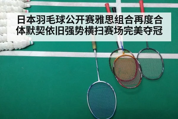 badminton final match