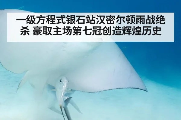 一级方程式银石站汉密尔顿雨战绝杀 豪取主场第七冠创造辉煌历史